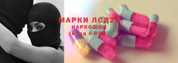 стафф Заволжье