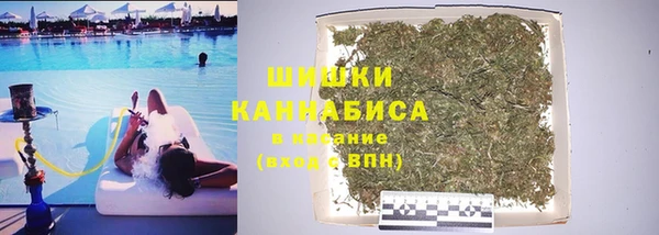 стафф Заволжье